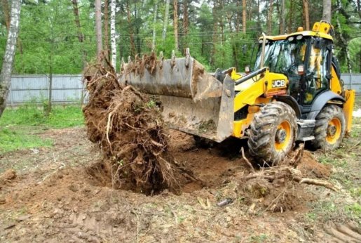 Удаление пней и корчевание вручную и со спецтехникой стоимость услуг и где заказать - Тула