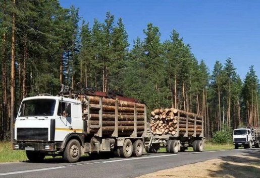 Лесовоз Лесовозы для перевозки леса, аренда и услуги. взять в аренду, заказать, цены, услуги - Донской